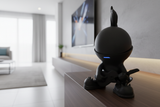 Suporte de Mesa para Echo Dot 5 (Alexa) — Starboy