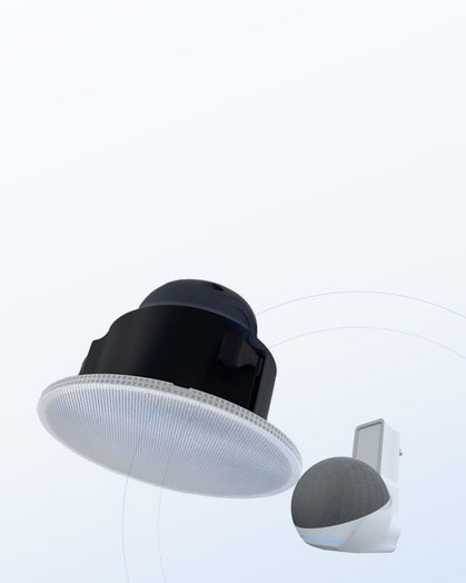 Splin — alexa mobile v3